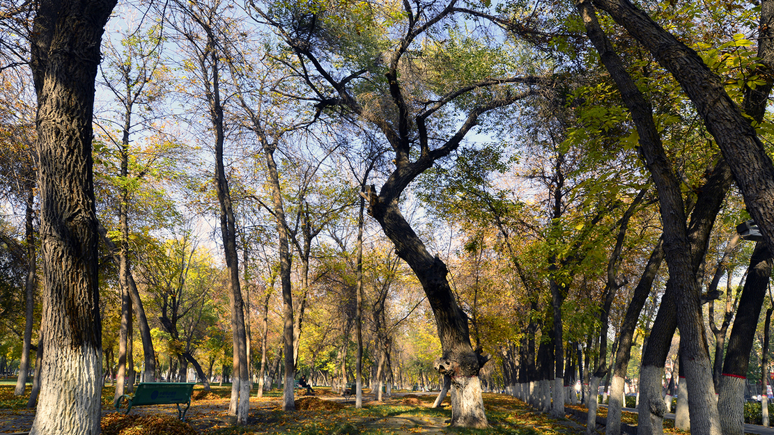 ʯ�����й���(����)��ɫ (7).JPG