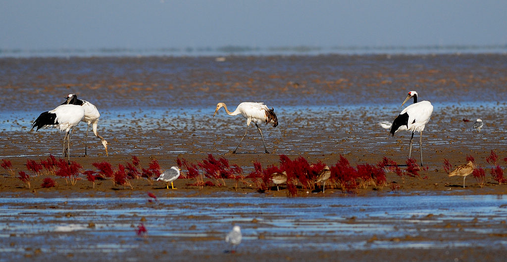 DSC_0412.jpg