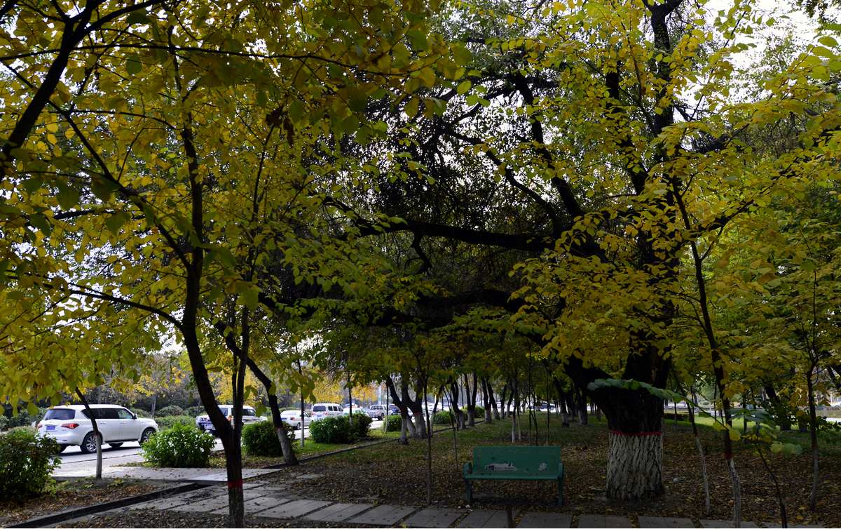 ������������ (8).jpg