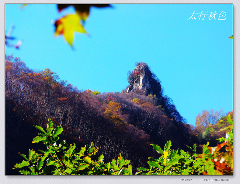 PA010462_����_���� ����.jpg