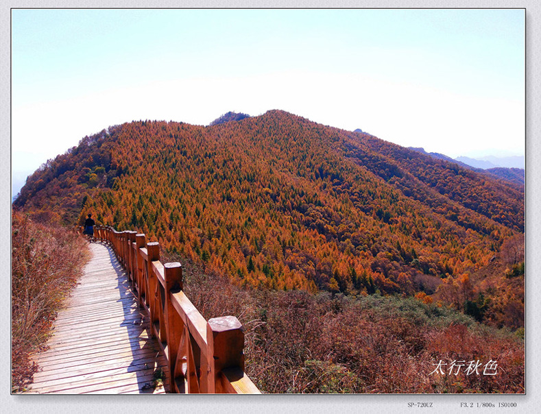 PA010480_����_���� ����.jpg