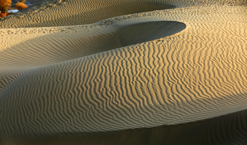 ��ɳ����Ҳʮ������