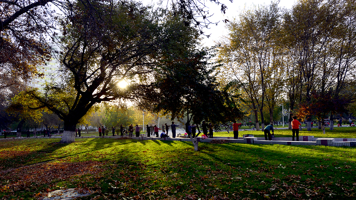 ���� (1).jpg