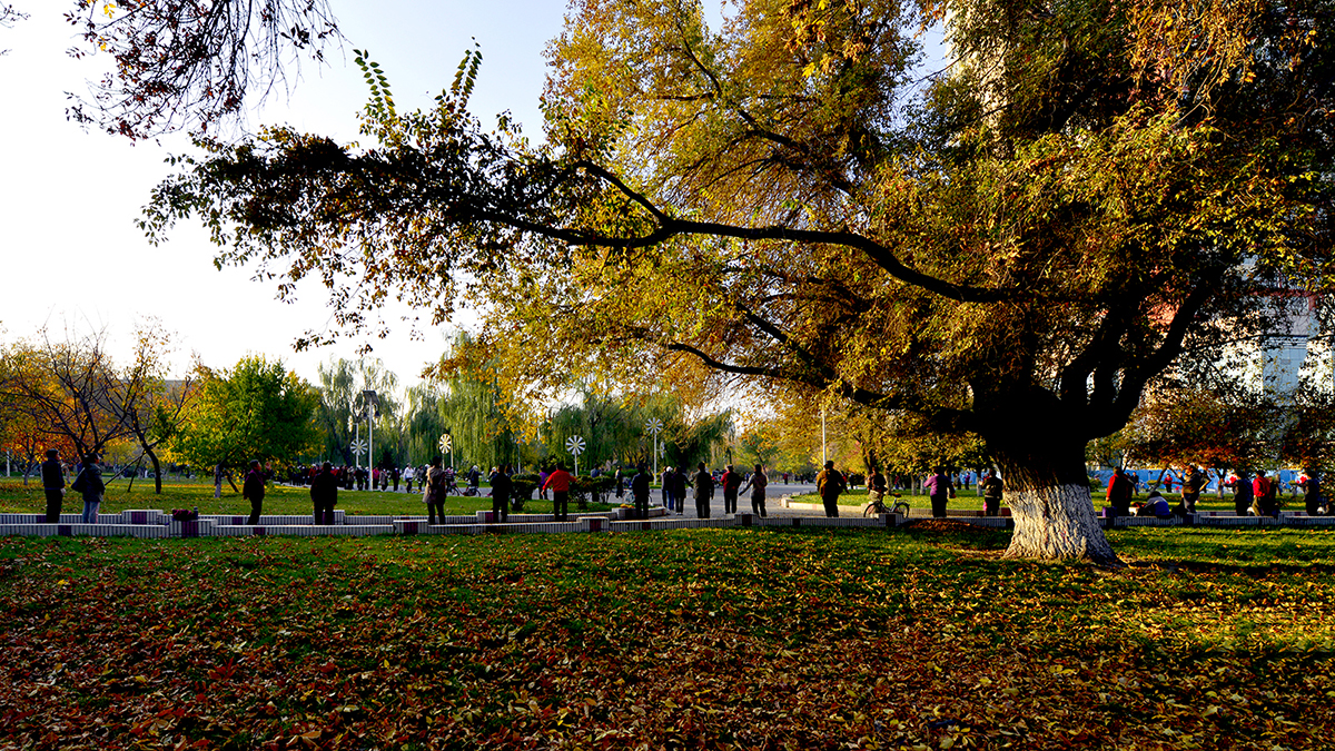 ���� (3).jpg