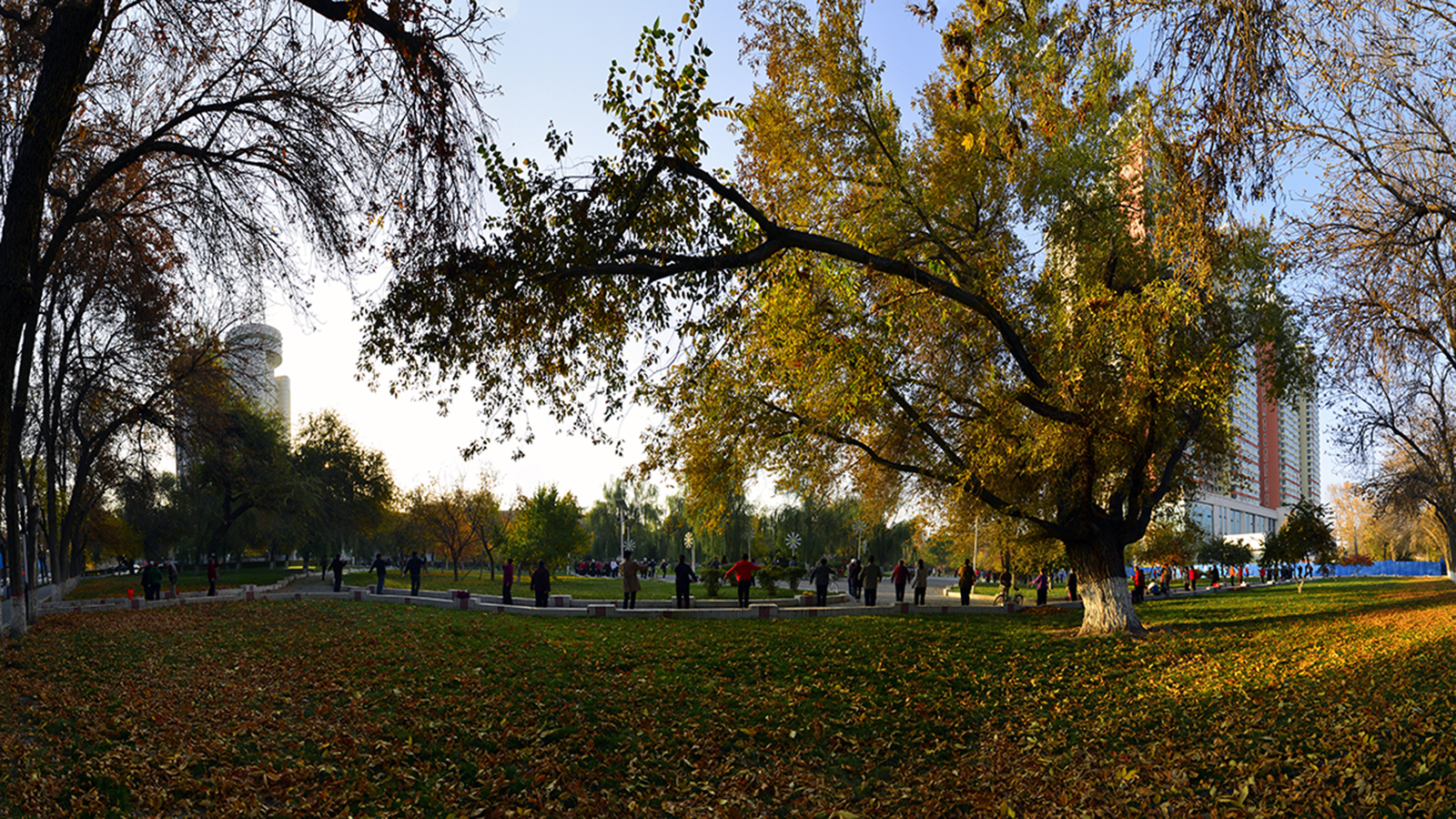 ���� (10).jpg