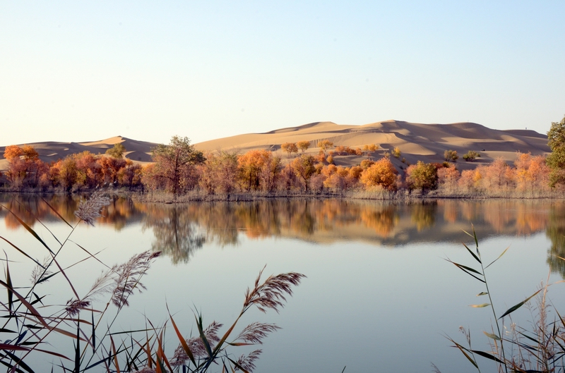 ��������2