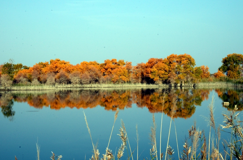 ��������4