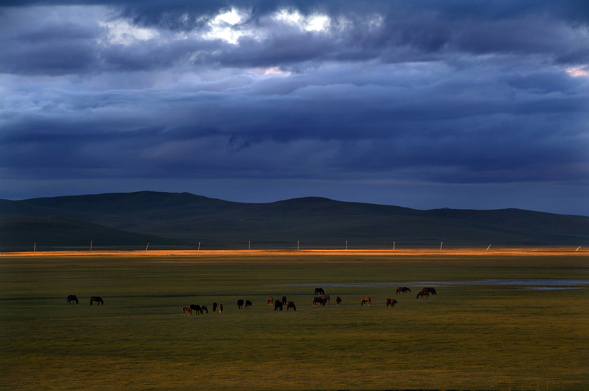 ��ߵĸ� ��4-4.jpg