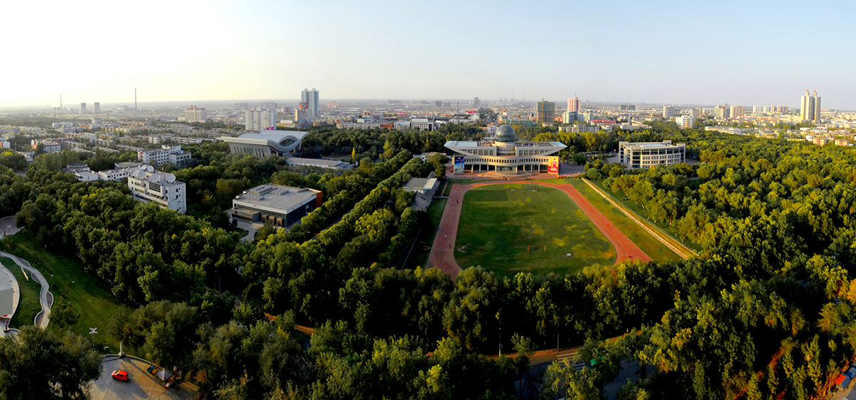 ����¥������