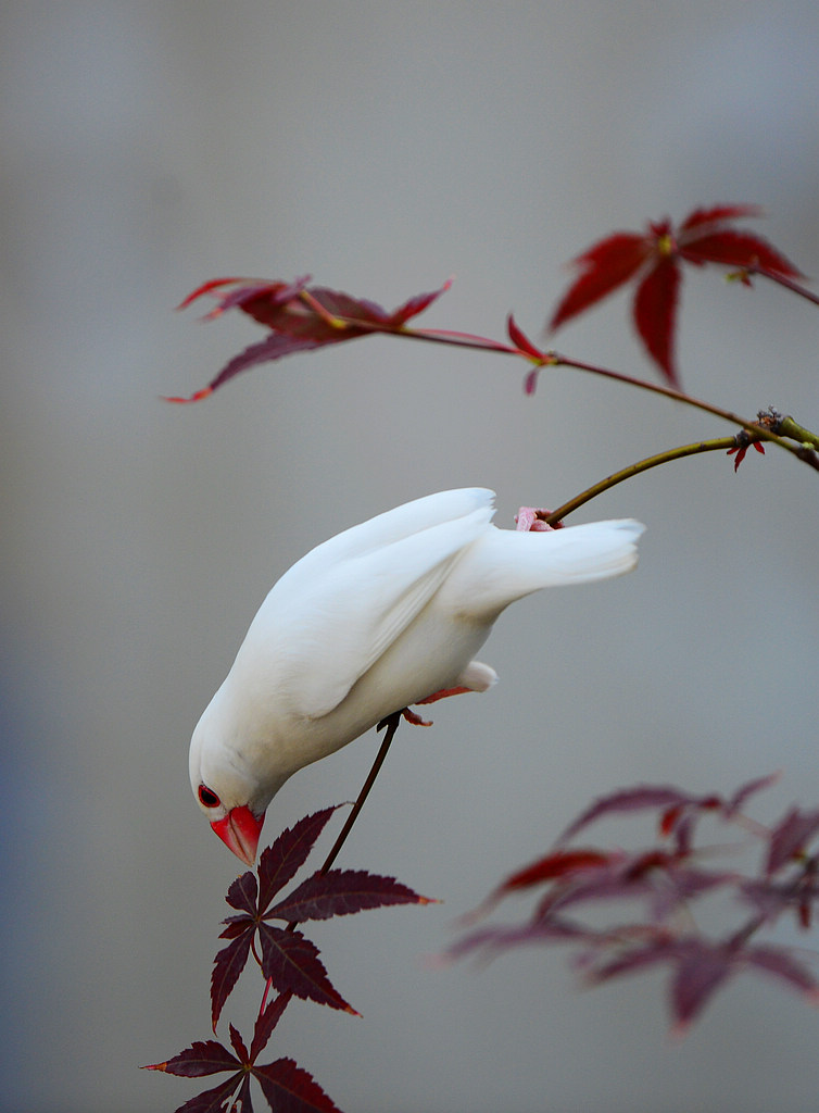 DSC_7757.jpg