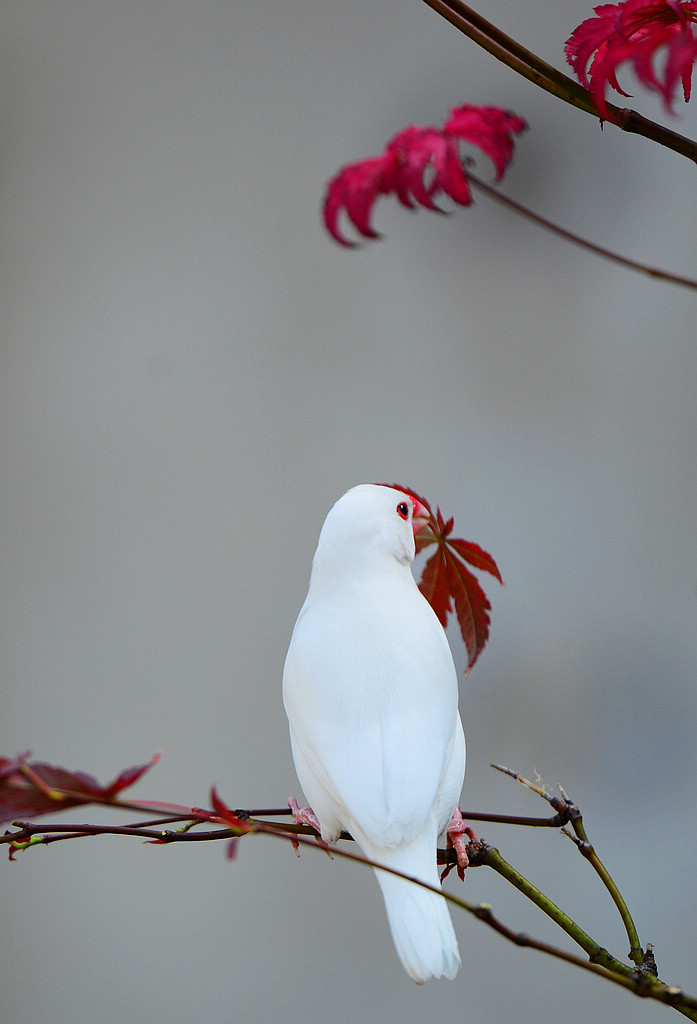 DSC_7751.jpg