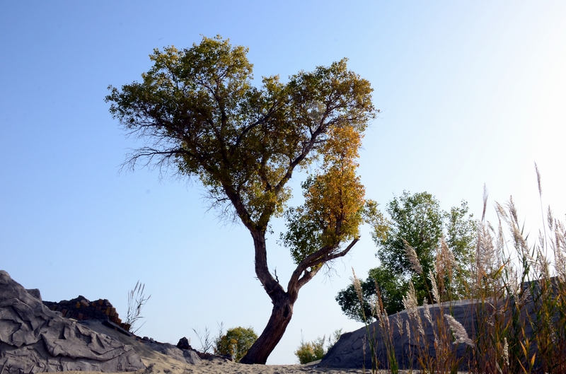 ����2     ������.jpg