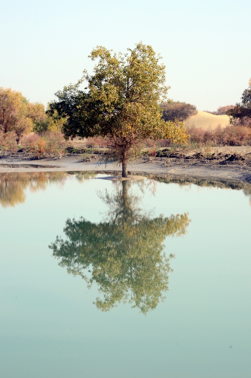 ����4   ������.jpg