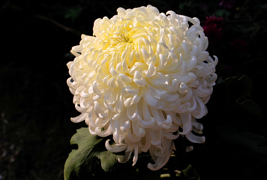 �ջ���Ƭ (1)_����.jpg