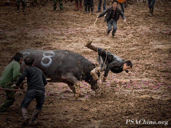 15.�ɺ�ƽ��Ʒ��������һ�̡� BREATHTAKING MOMENT.jpg