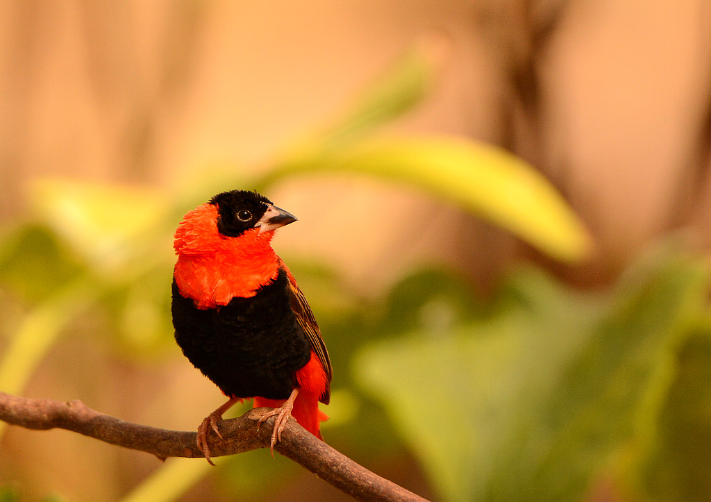 DSC_4288.jpg