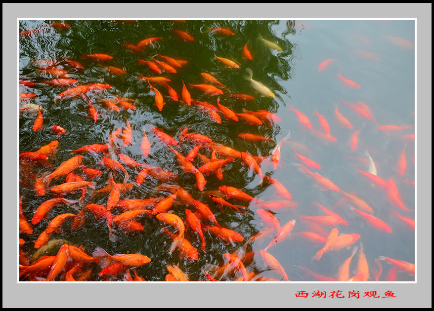 2013��10��18�պ�����������Ƭ 01821.jpg