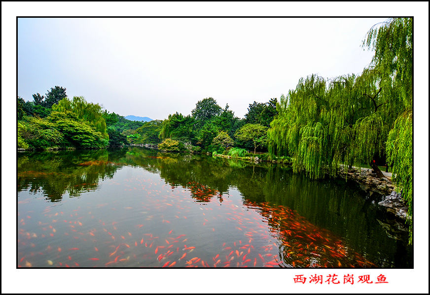 2013��10��18�պ������������ڹ�����Ƭ 047.jpg