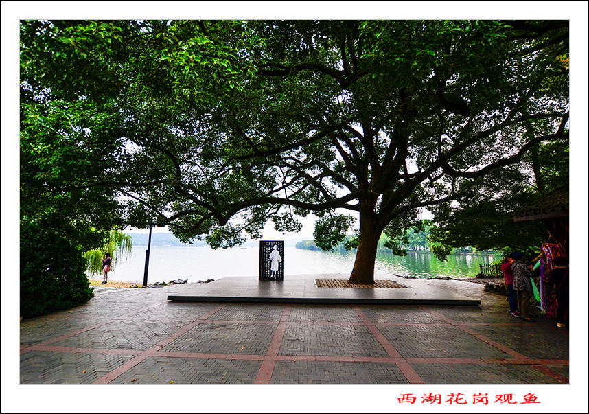 2013��10��18�պ��ݻ��ڹ�����Ƭ 047.jpg