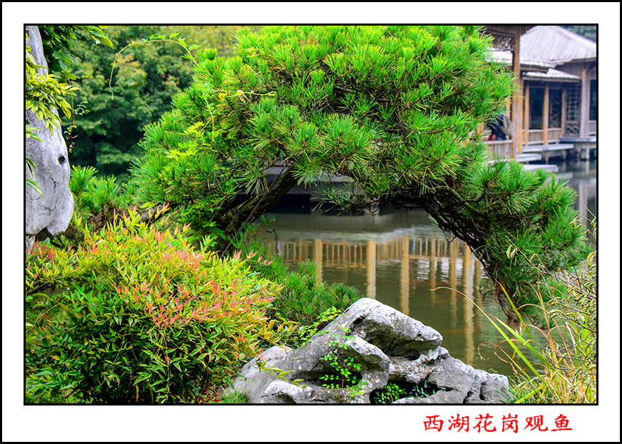 2013��10��18�պ�����������Ƭ 01826.jpg