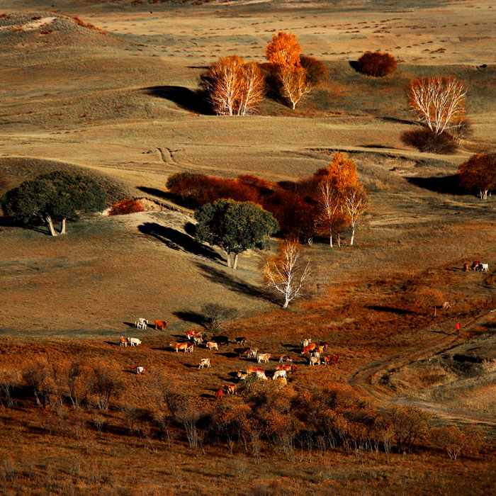 ���� AX8A0099.JPG