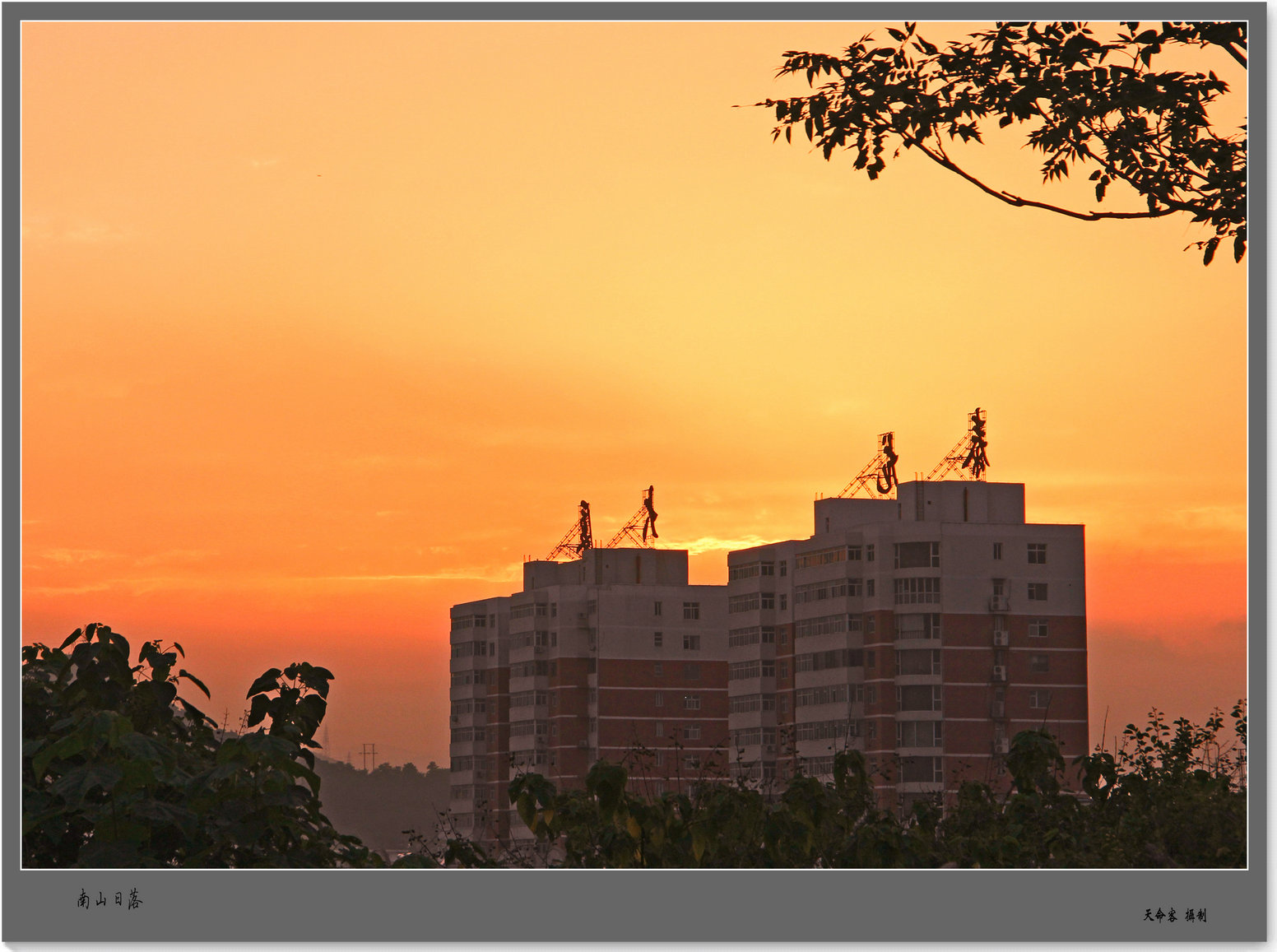 ��ɽ���Ͽ�����