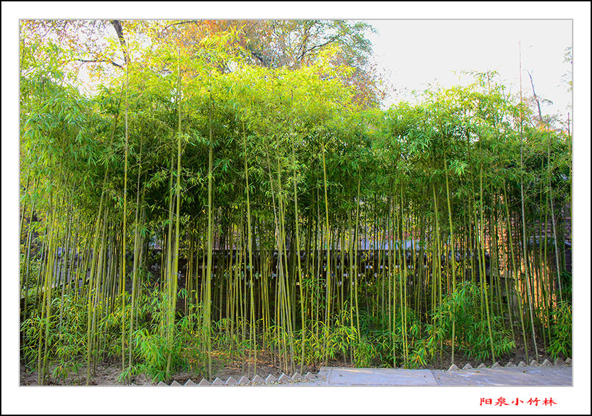 2013��10��27��Ƭ 2o1005.jpg