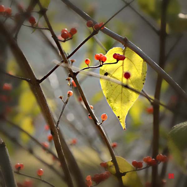 ��Ƭ 073��������.jpg