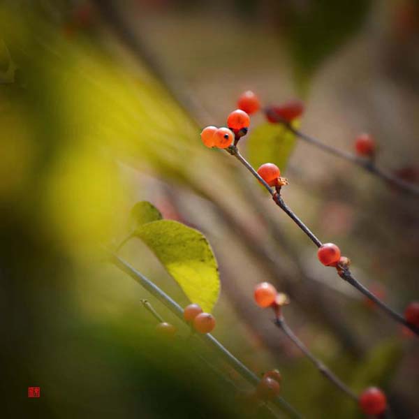 ��Ƭ 070��������.jpg