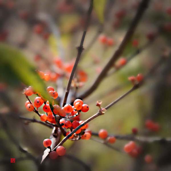 ��Ƭ 069��������.jpg