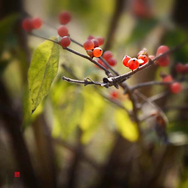 ��Ƭ 067��������.jpg