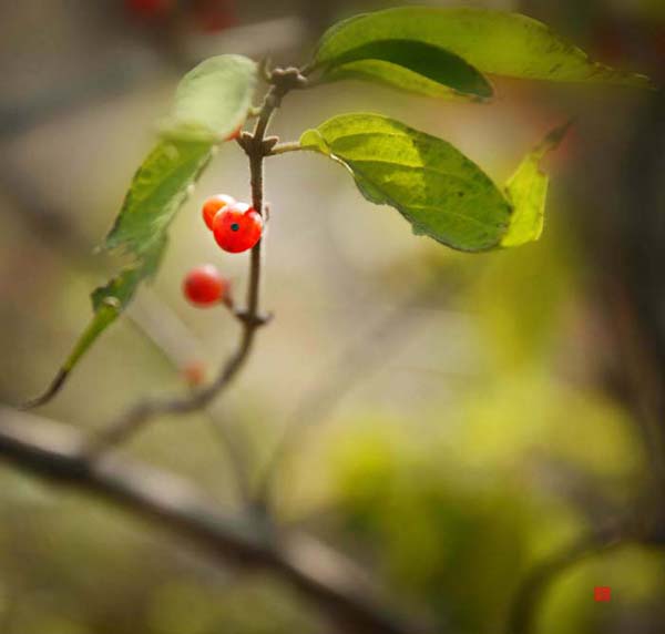 ��Ƭ 072��������.jpg