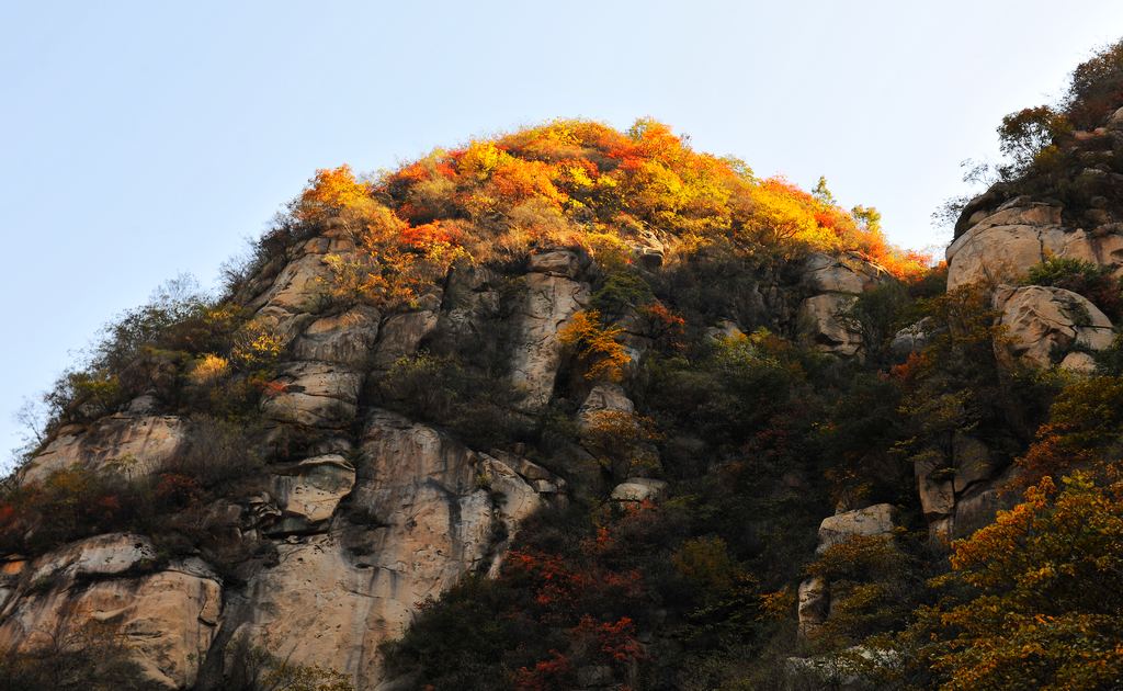 �῵D3X��2013��11��6�ա������� 156.jpg