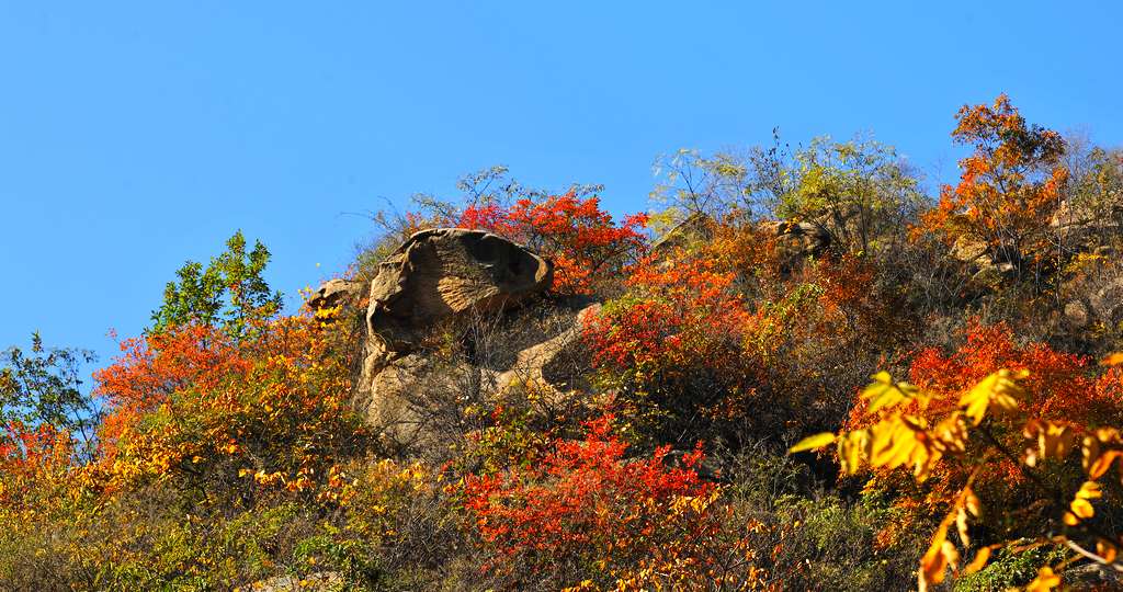 �῵D3X��2013��11��6�ա������� 164.jpg