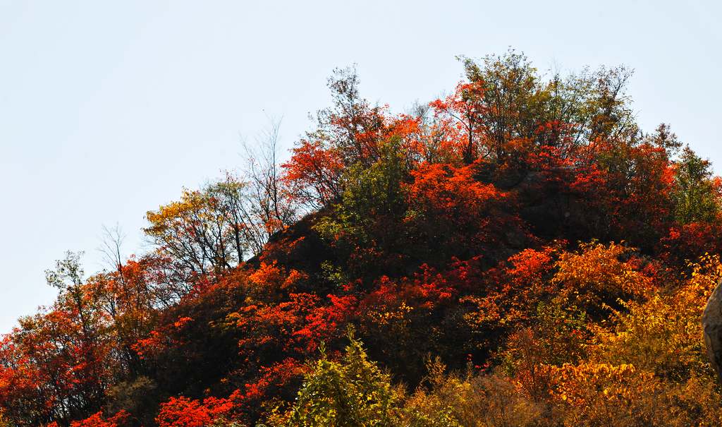 �῵D3X��2013��11��6�ա������� 180.jpg