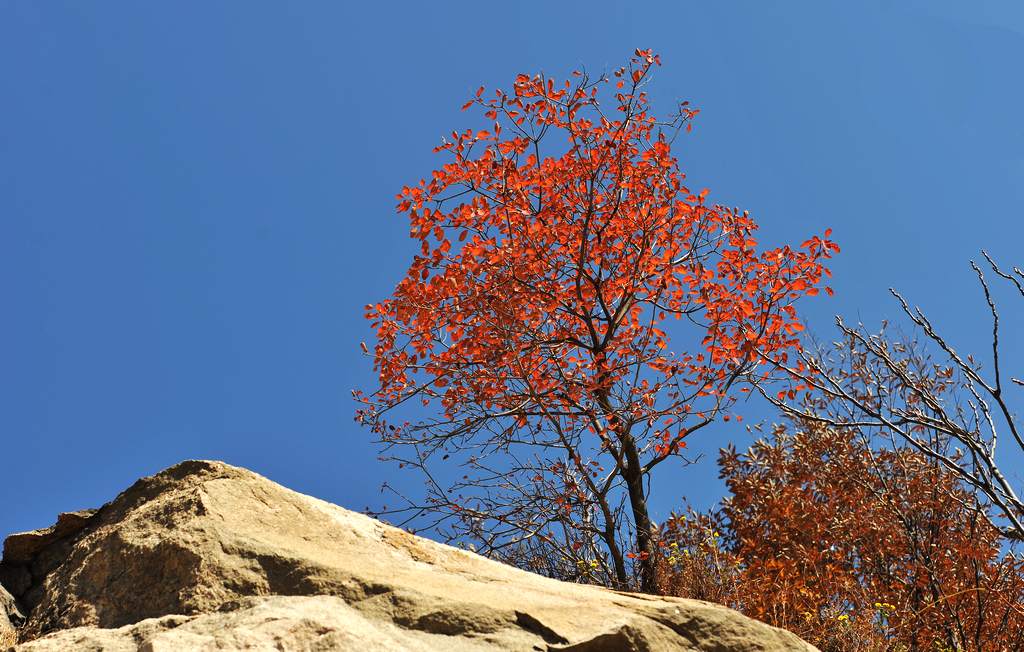 �῵D3X��2013��11��6�ա������� 210.jpg