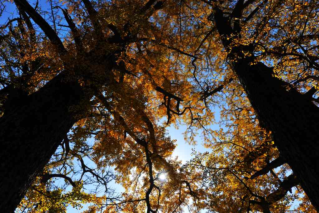 �῵D3X��2013��11��6�ա������� 227.jpg