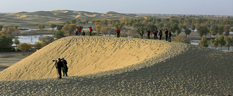 ����ɳɽѡ��