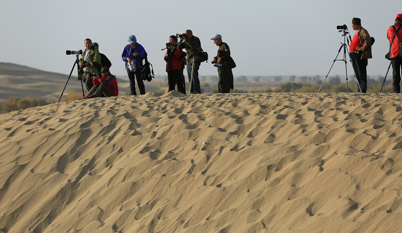 ����׼��