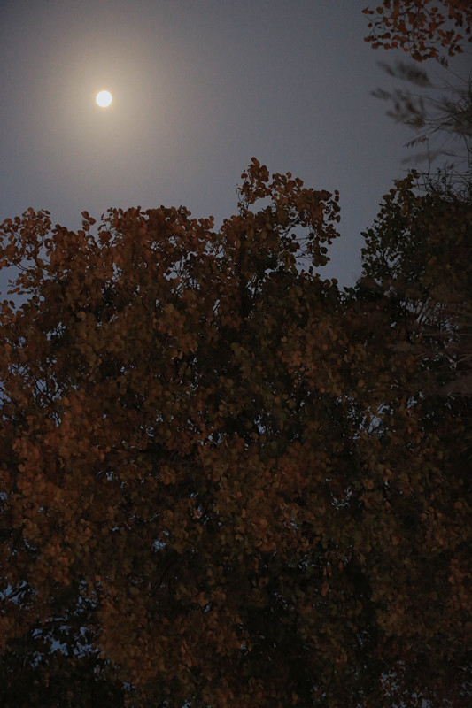 ������������ʱ