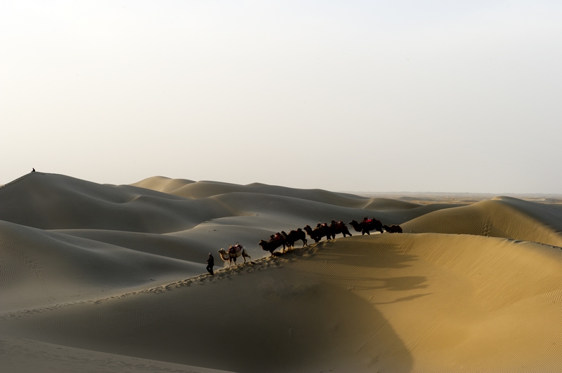 �Ͻ���ʲɳĮ���