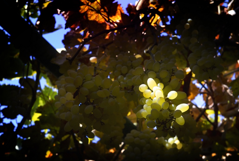 ��ʷ�ĺۼ��ں����