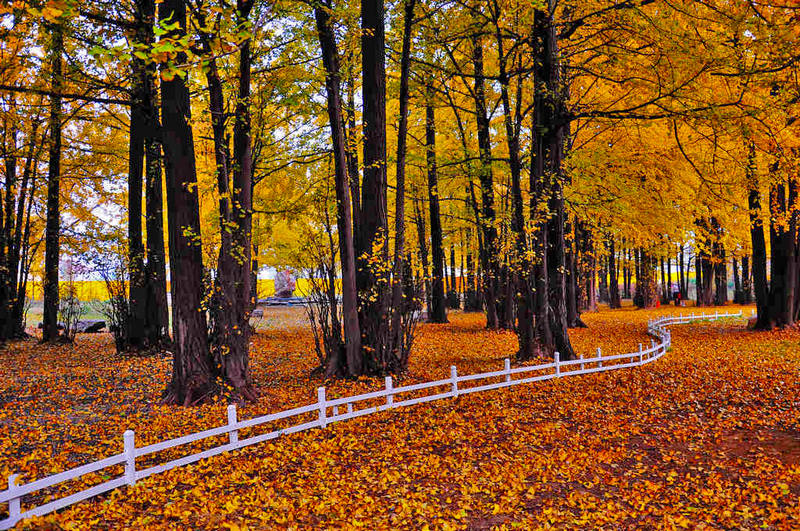 ���� 020xt.jpg