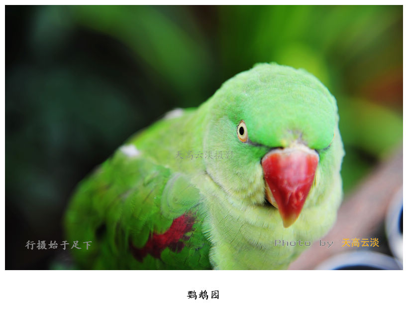 DSC_1178.JPG