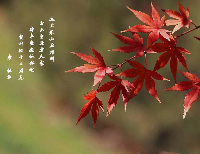 IMG_7151 .����.jpg