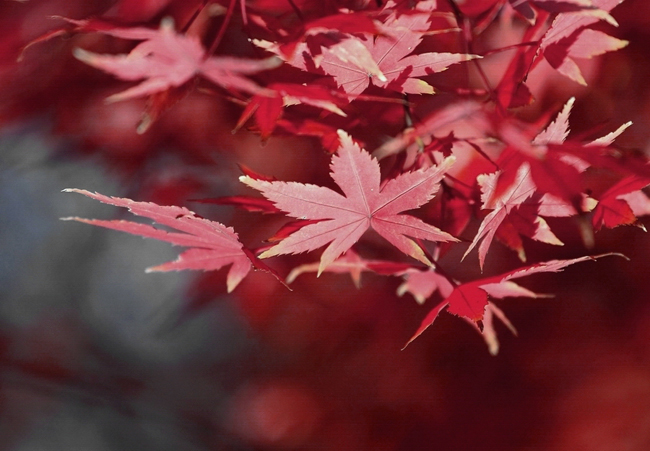 IMG_7159 ����.jpg