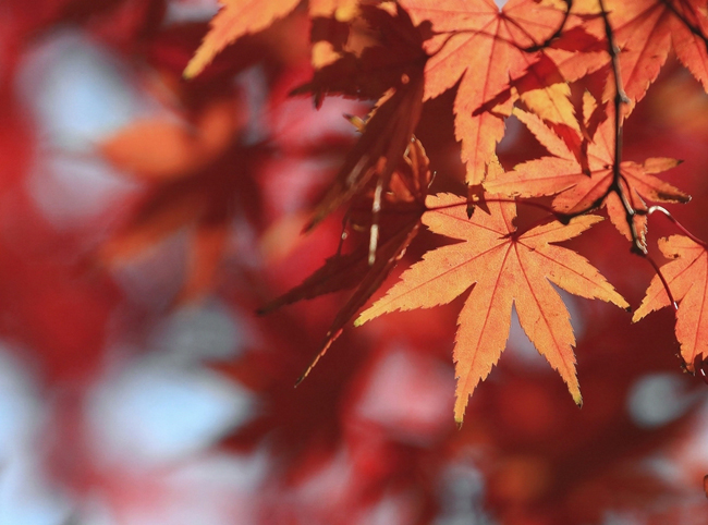 IMG_7119 ����.jpg