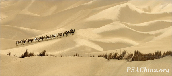 04.����PSA練�����Ʒ����ɳ��֮����Desert Territory No.2.jpg