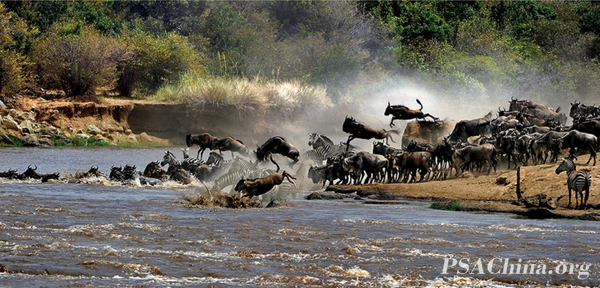 11.��������Ʒ�������ڡ�To gallop.jpg