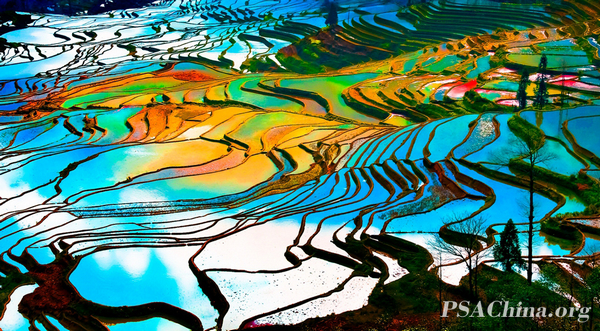 06.��־����Ʒ���������԰֮����Colorful garden2.jpg